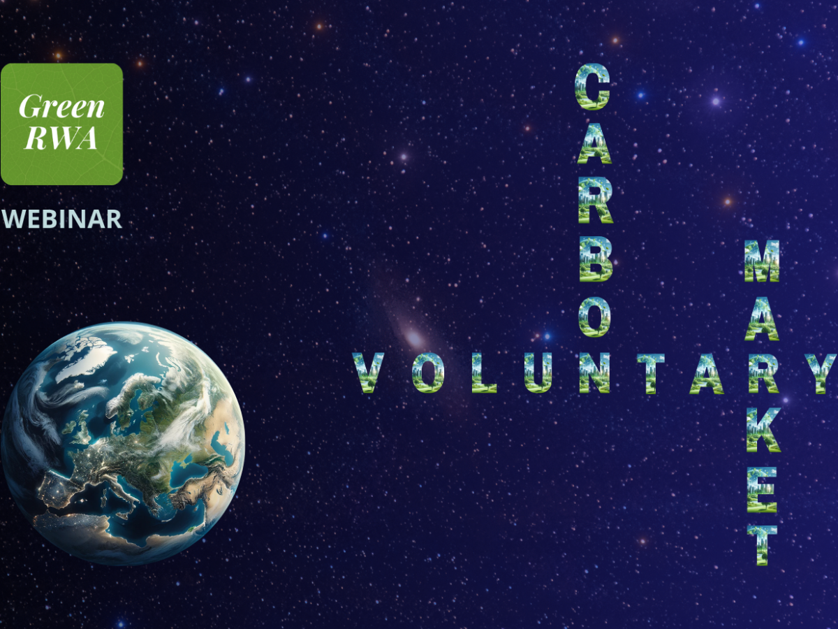 The voluntary carbon credit market Post-COP 28: analysis and�perspectives